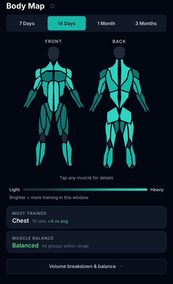 Via Fortis Body Map on the 14 day window. Most trained is chest at 19 sets, four above average, and muscle balance reads balanced with all groups within range.